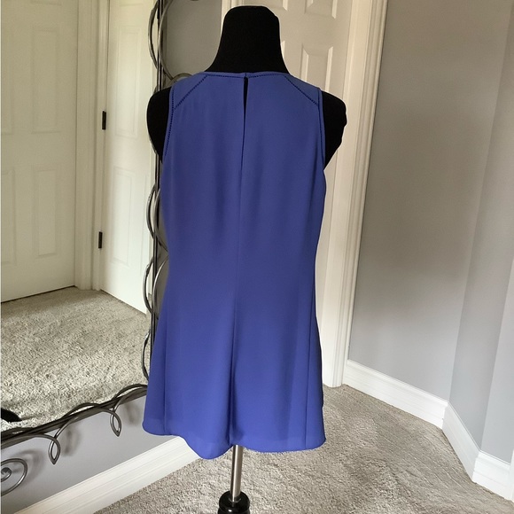 Periwinkle Perfect! - Picture 2 of 6